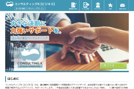 法人向けコンサルティングサービス